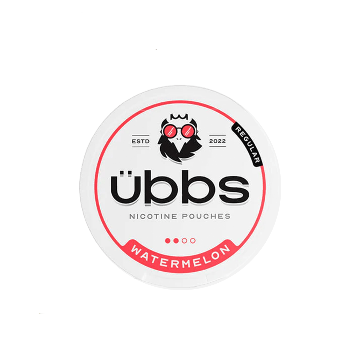 6mg Ubbs Nicotine Pouches (20 Pouches) - Vapour Vista